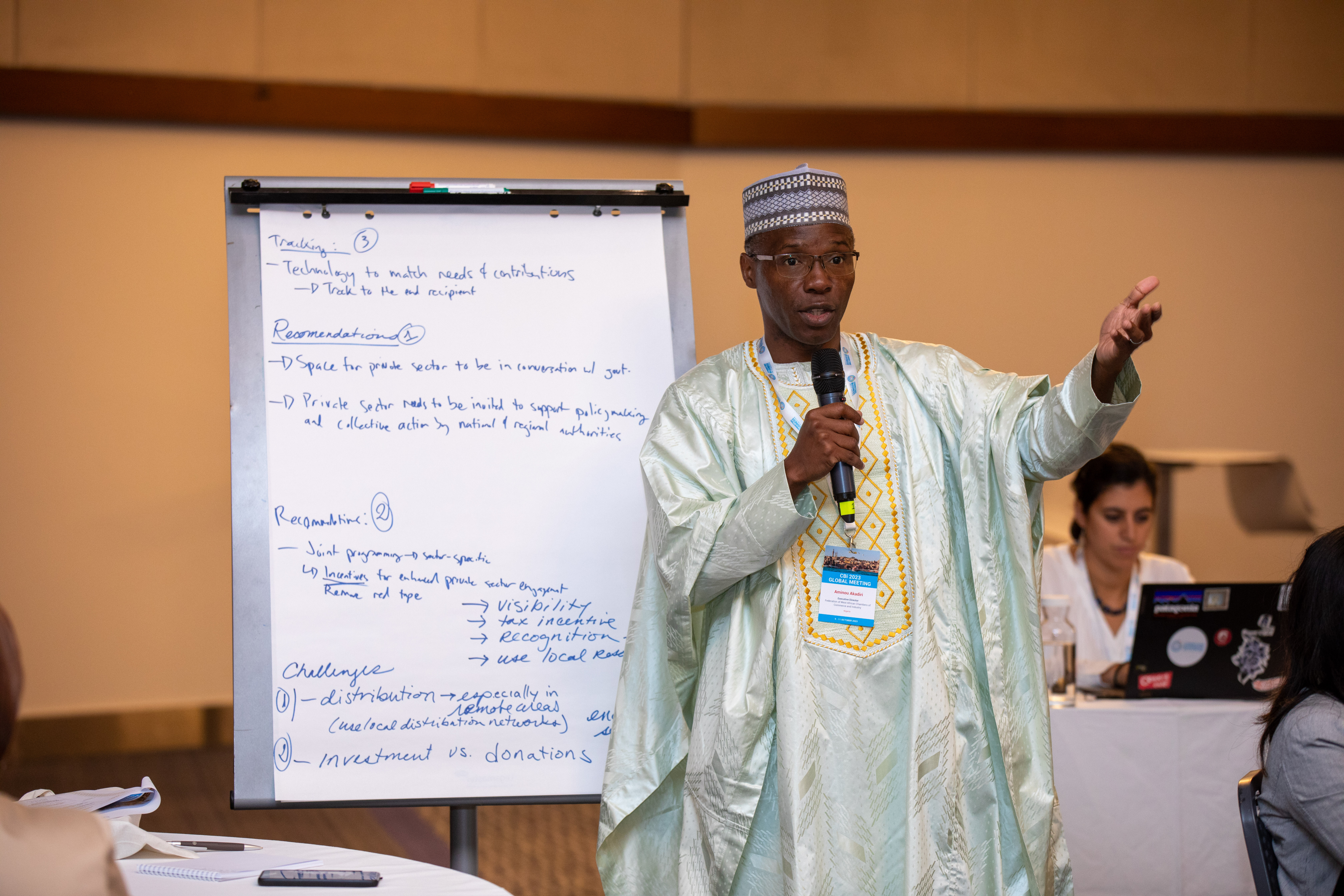 One of the meeting participants, from Nigeria, presents back findings from group work.