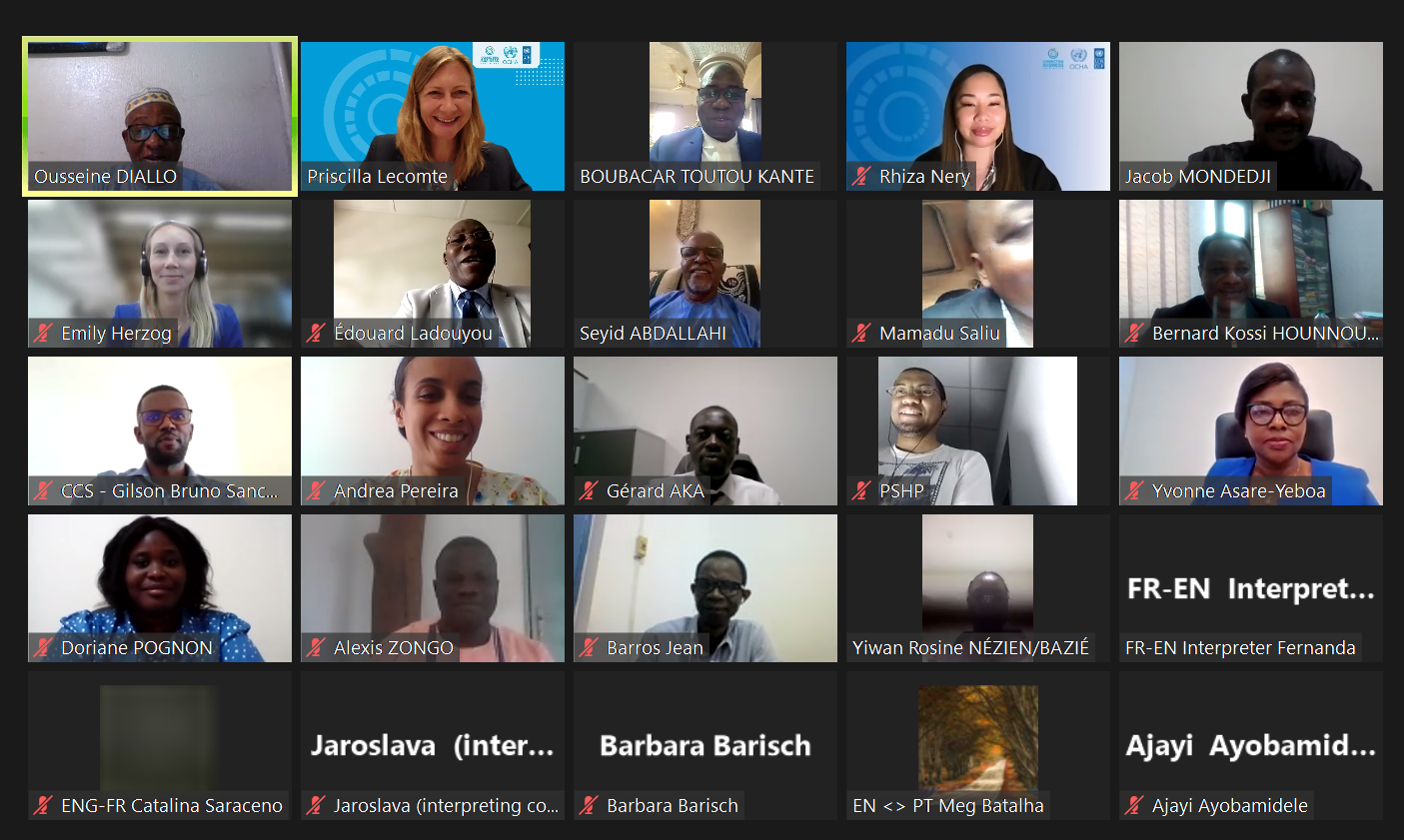 Screenshot of zoom webinar with smiling faces