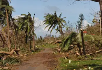 Fiji - Response to Tropical Cyclone Harold
