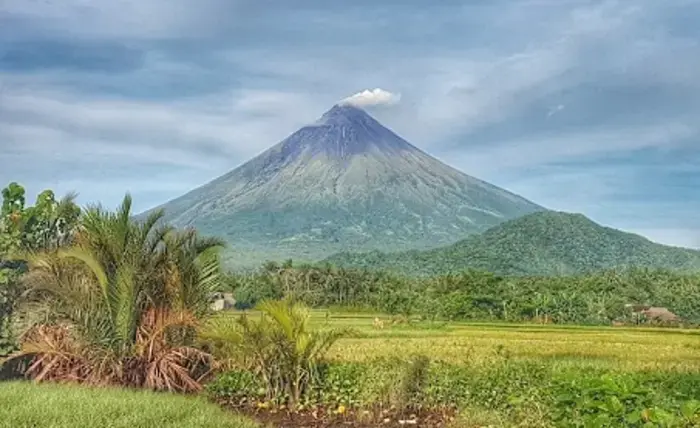 3 ways business supported the Mayon volcano response in the Philippines