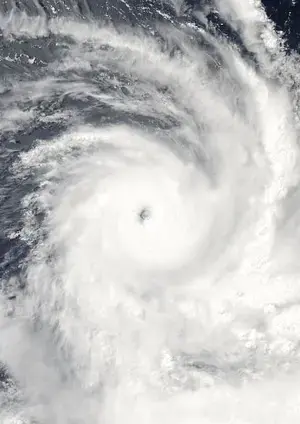 OCHA Business Guide: Hurricane Irma