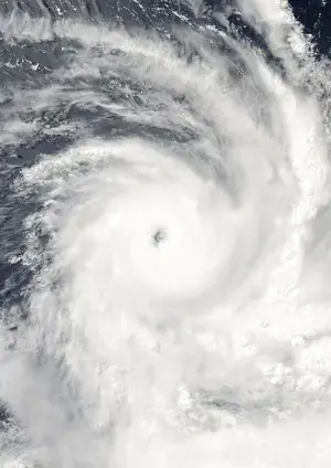 Business Guide - Hurricane Irma Business Guide - Hurricane Irma
