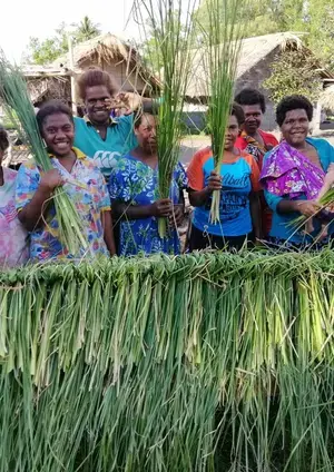 Credit: VBRC Business Network Brief - Vanuatu